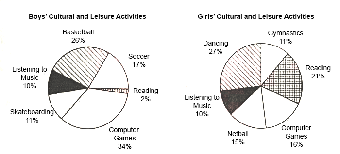 pie chart essay