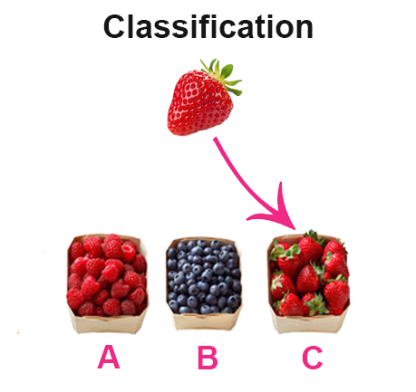 IELTS Reading lesson: Classification